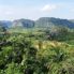 Plantaciones de tabaco de Viñales