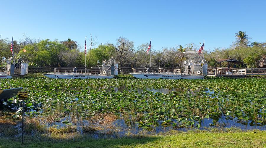 Airboat Everglades