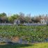 Airboat Everglades