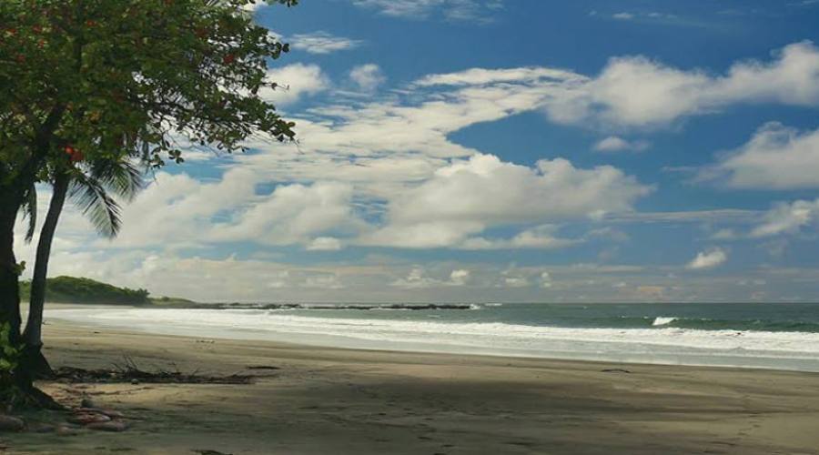 Playa Junquilla