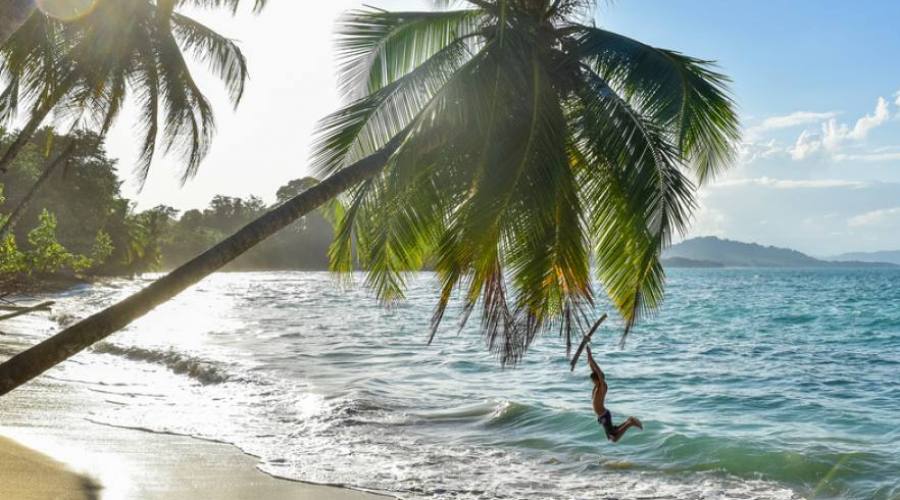 Punta Uva