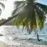 Punta Uva