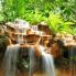 Costa Rica: cascadas y bosques