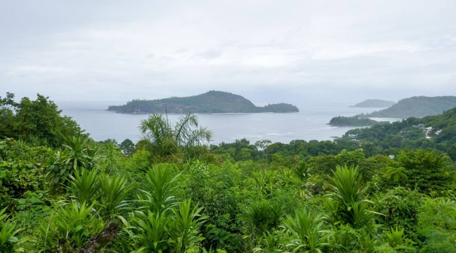 Morne National Park