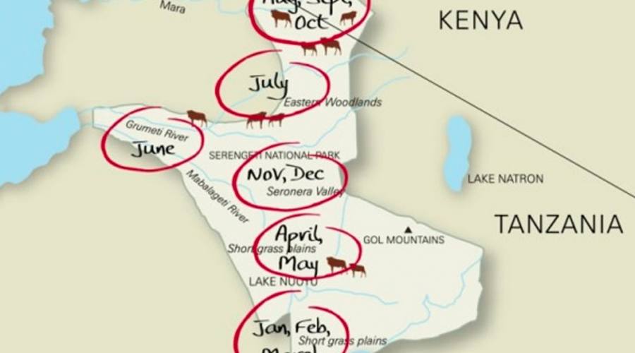 Mappa migrazione Tanzania & Kenya