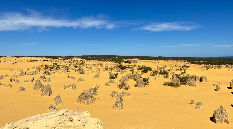 Deserto dei Pinnacoli