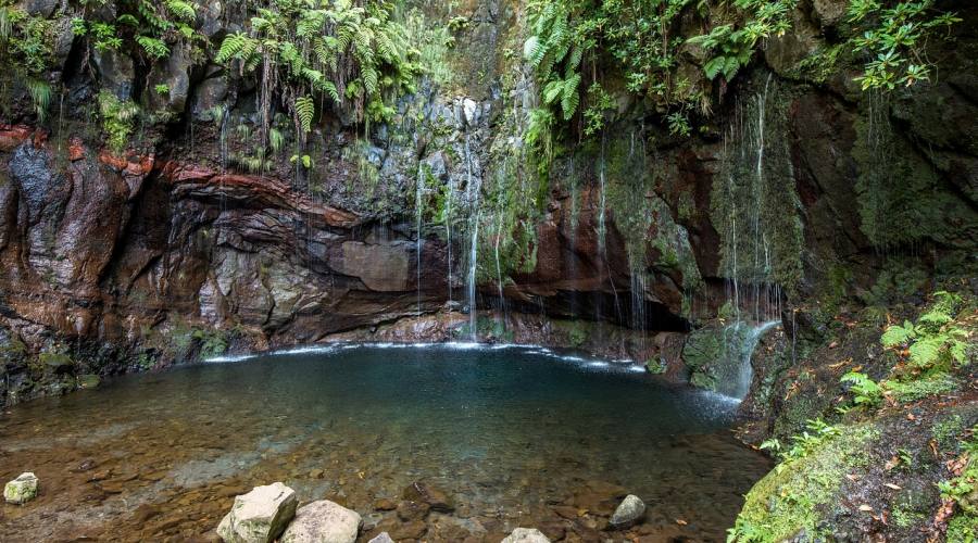 Madeira, 25 fontes