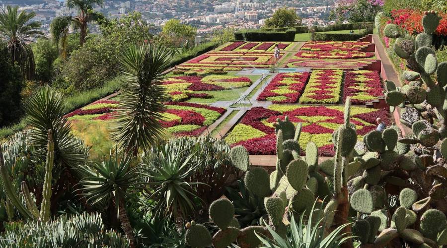 Madeira, l'orto botanico