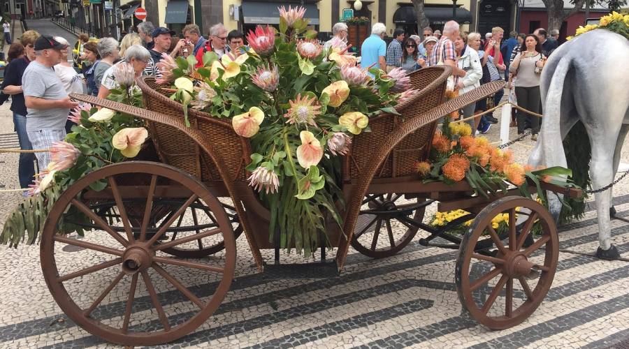 Madeira, Funchal la festa dei fiori