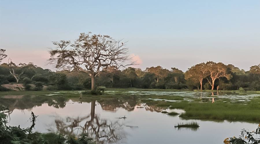 Wilpattu National Park