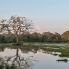 Wilpattu National Park