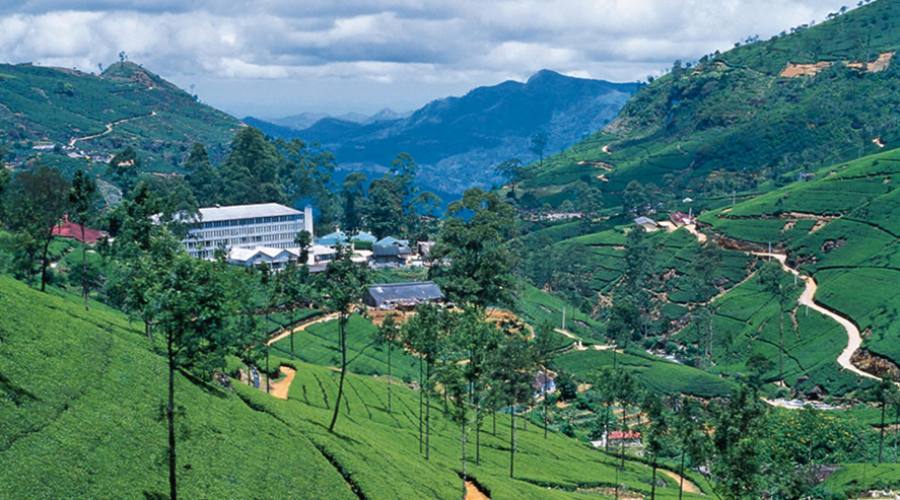 Nuwara Eliya