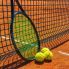 Gli attrezzi del tennista