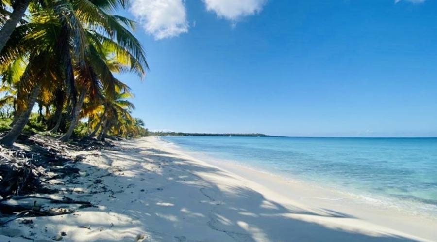 Escursione a Catalina