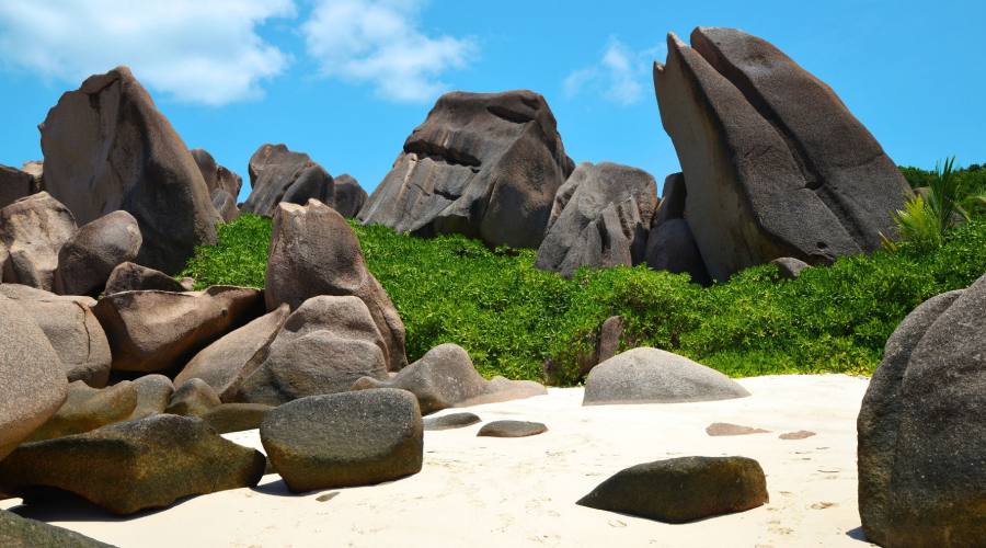 Anse Marron - La Digue