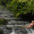 Terme Tabacon-Arenal