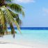 Palme e spiaggia
