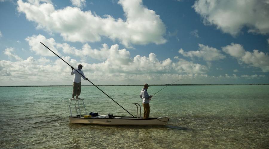 Pesca
