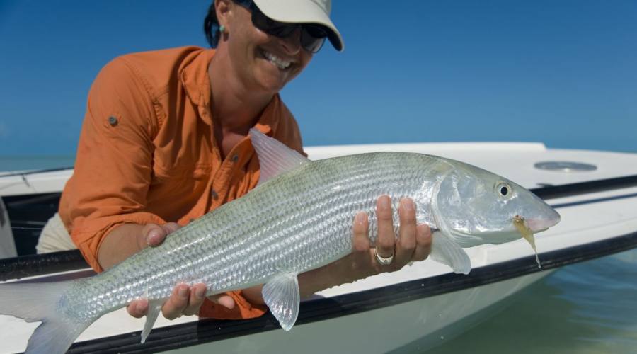 Pesca