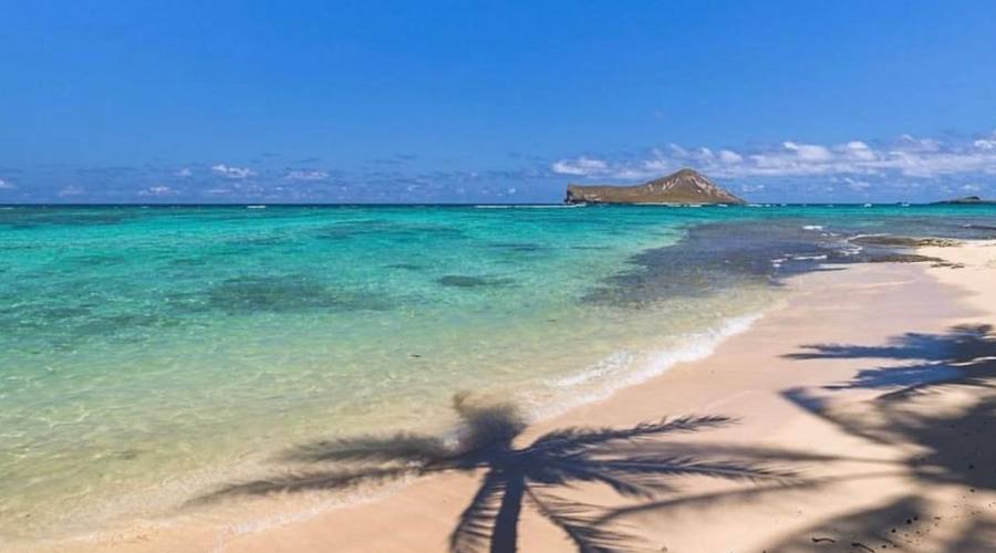 Kailua Beach Park