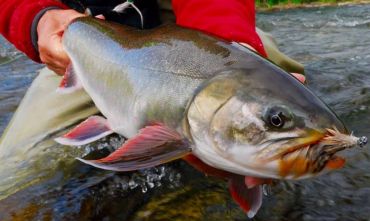Viaggio di pesca nel Grande Nord