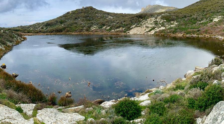 Capraia, lo Stagnone