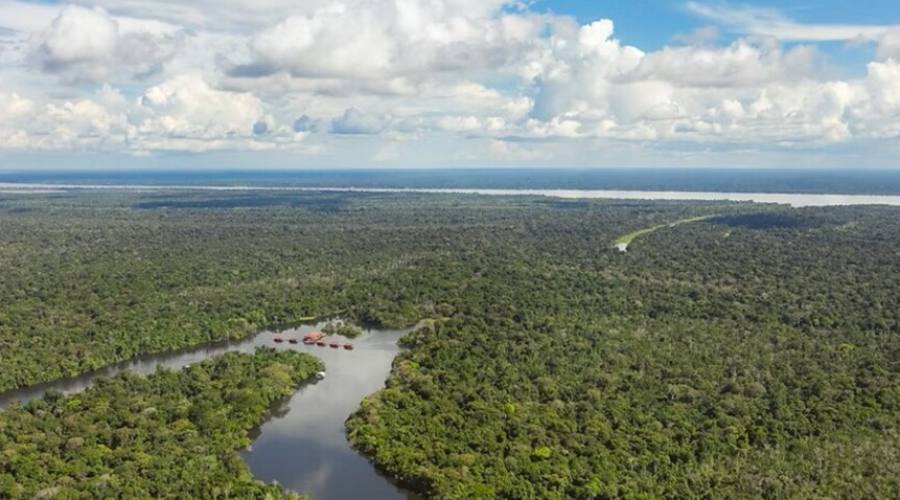 Amazzonia