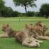 Skukuza Golf Club