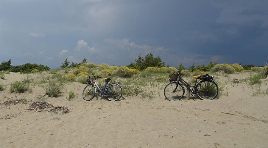 Le Dune di Tirrenia