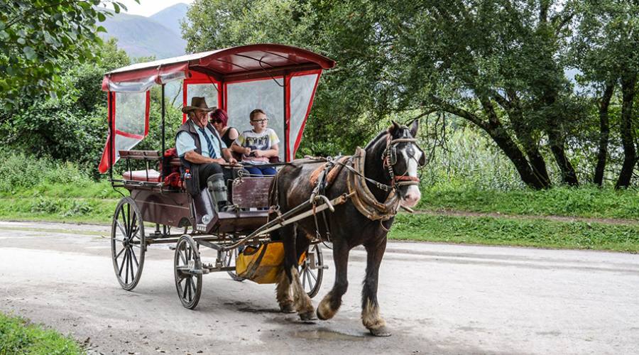 Nel Parco di San Rossore in carrozza