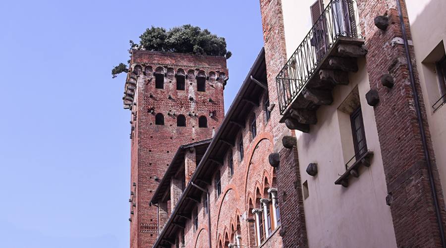 La Torre Guinigi a Lucca
