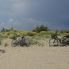 Le Dune di Tirrenia