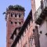 La Torre Guinigi a Lucca