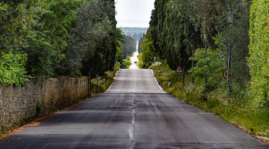 Il viale dei cipressi del Carducci