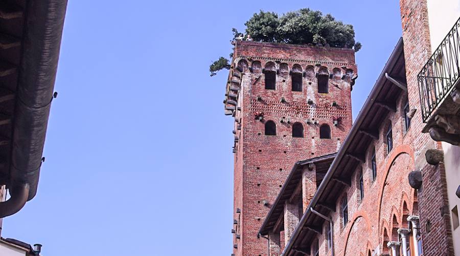Lucca: la Torre Guinigi