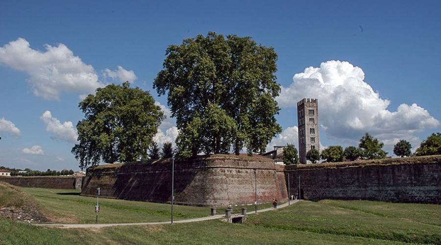 Lucca: un tratto delle mura