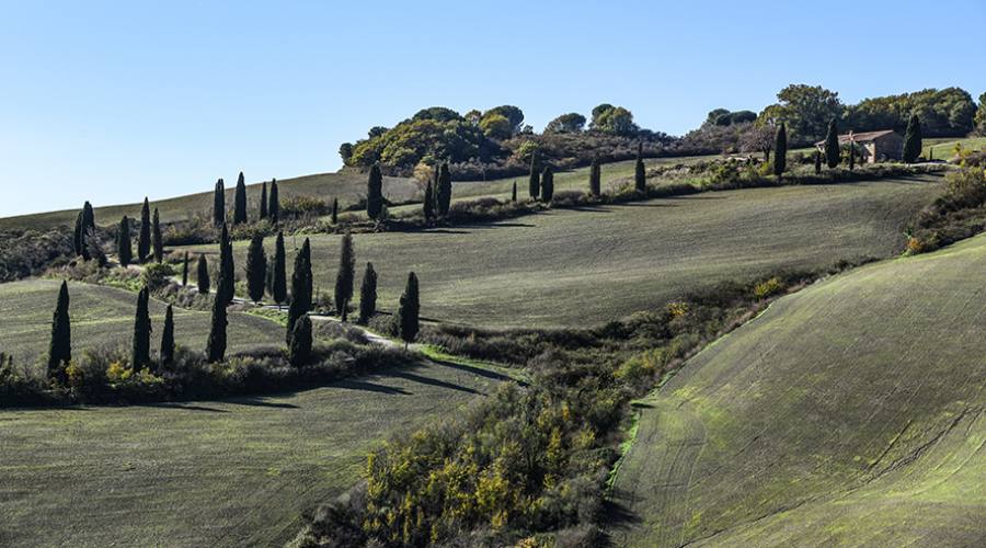 Val d'Orcia: panorama