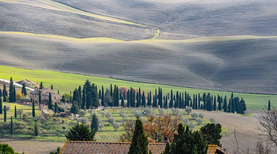 Val d'Orcia: panorama tipico