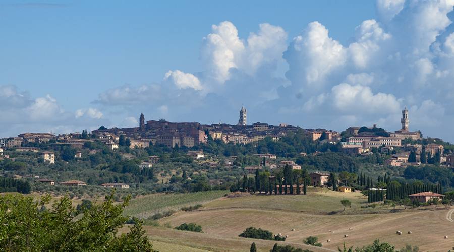 Siena
