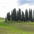 San Quirico: i cipressi, emblema della Val d'Orcia