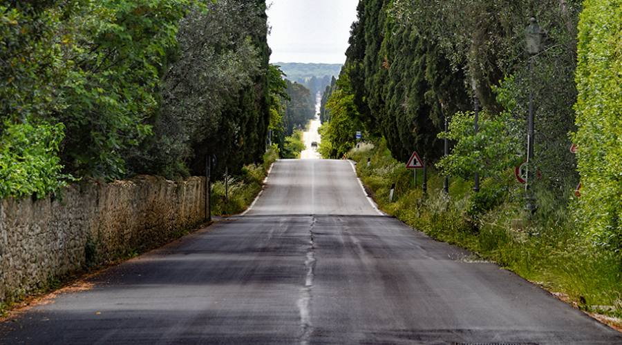 Il viale dei cipressi del Carducci