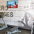 Palestra