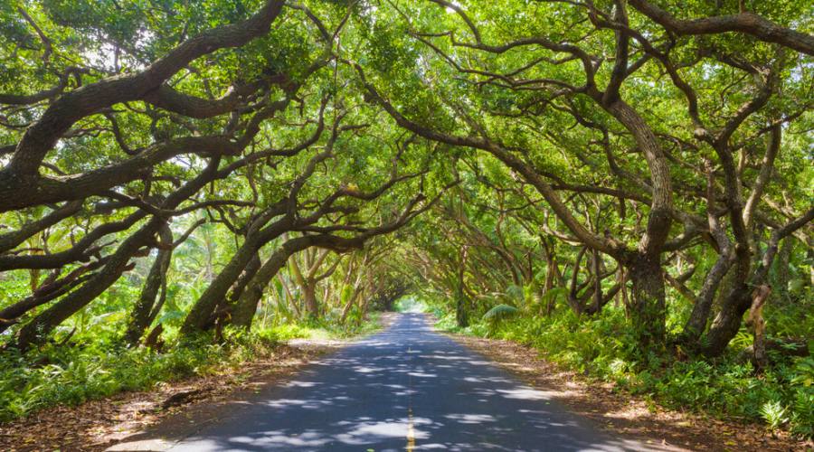 Big Island