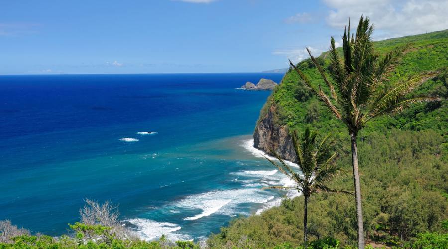 Big Island _ Hokala Coast