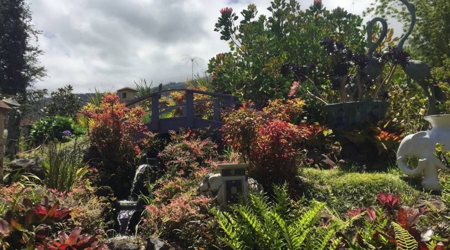 Maui _ Kula Botanical Garden