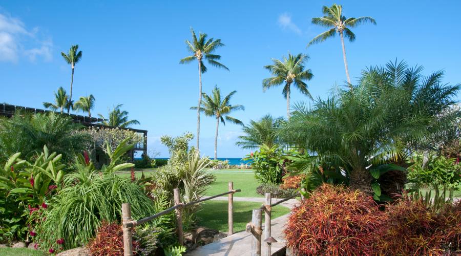 Maui