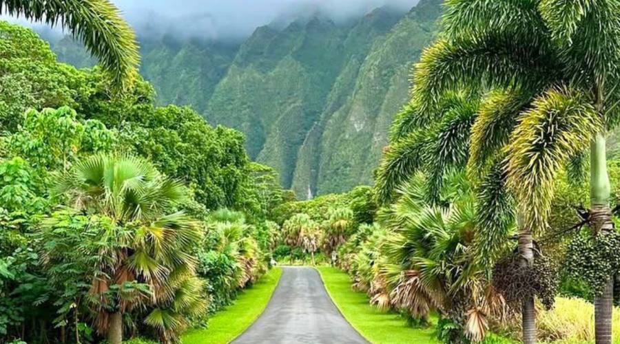 Oahu _ Hoomaluhia Botanical Garden