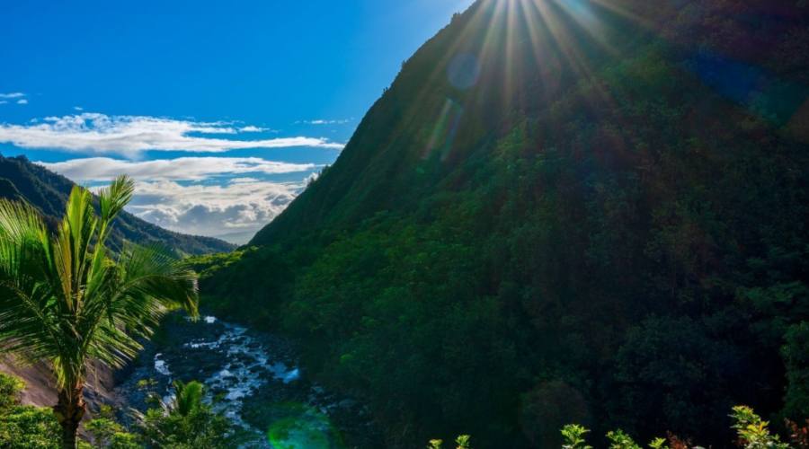 Maui _ Iao Valley State Monument Park