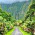 Oahu _ Hoomaluhia Botanical Garden