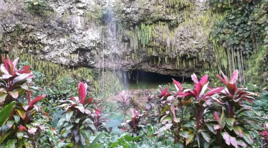Kauai _ Fern Grotto